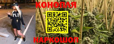 амф Аша